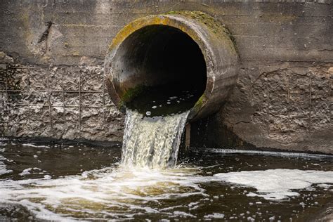 Revealing the Potential Health Effects of Sewage Contamination