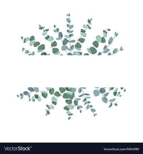 Eucalyptus border frame on white background Vector Image