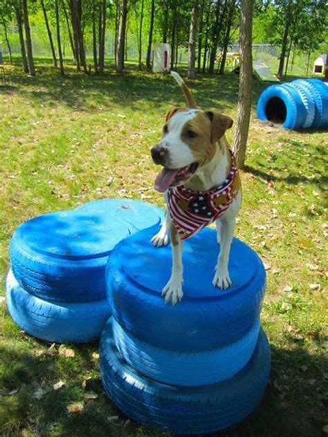 22 Easy DIY Dog Playground Ideas For Small Backyard | Housetodecor.com