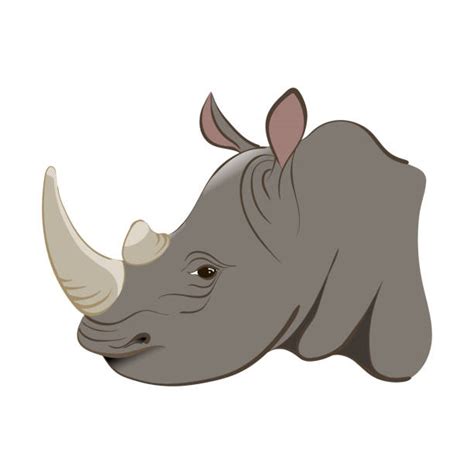 Cartoon Of Rhino Head Illustrations, Royalty-Free Vector Graphics ...