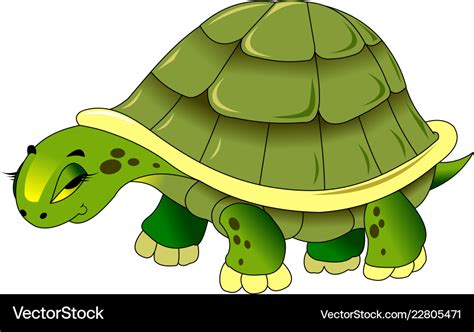 Sad turtle Royalty Free Vector Image - VectorStock