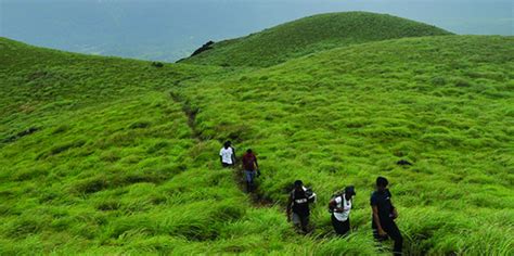 Wayanad Tourist Places | Wayanad Packages