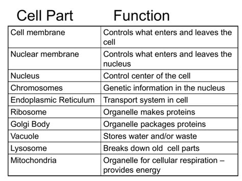 Cell Part Function