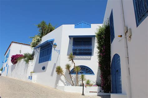 Handsomely Tunisia Blue - White Tourism City- 12 Inch By 18 Inch ...