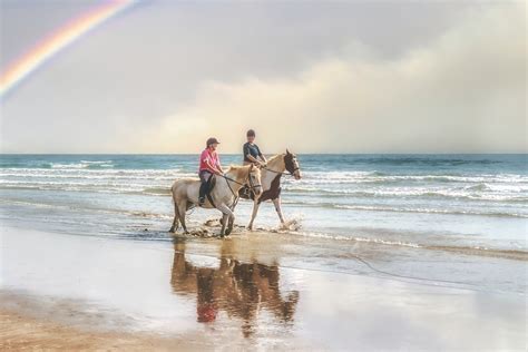 south padre island activities - Franke Rentals