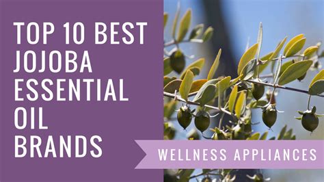 Top 10 Best Jojoba Essential Oil Brands – Wellness Appliances