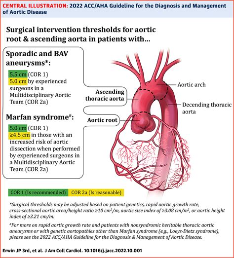 Diretriz de Aorta • iECA e BRA na DRC avançada • ICFEP e Obesos