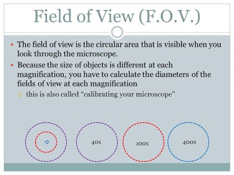 Microscopy 101: Field of View » Microscope Club