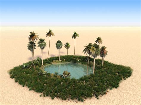 Sahara Desert Oasis Facts