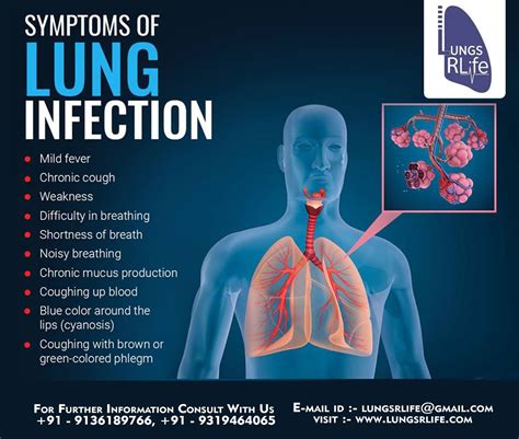 Lungs RLife en 2024