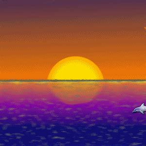 Sunset GIF - Find & Share on GIPHY