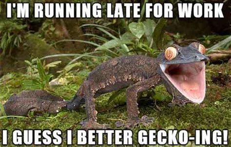 ‍♀️ 38 Best Running Meme - Meme Central