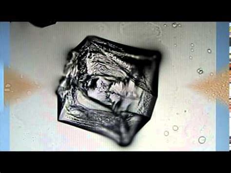 NaCl crystal growth in gelatin - YouTube