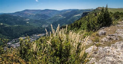 Premium Photo | Cevennes national park