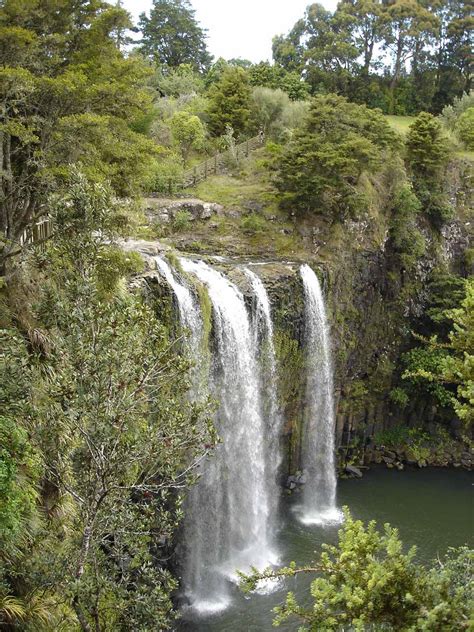 Whangarei Falls - Waterfall in a Suburban Park in Whangarei