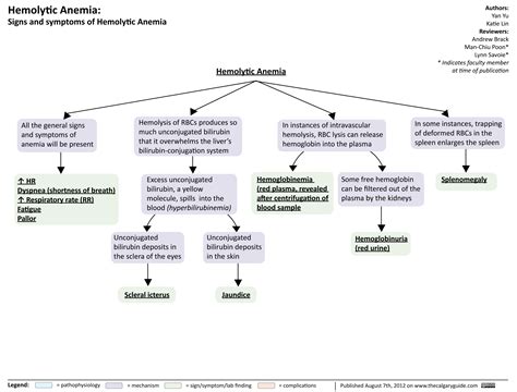 Hemolytic Anemia: Signs And Symptoms | Calgary Guide