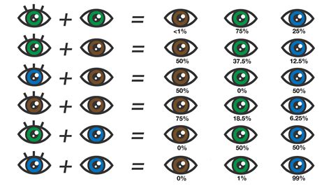 Eye Color Chart: What Color Eyes Will My Baby Have?