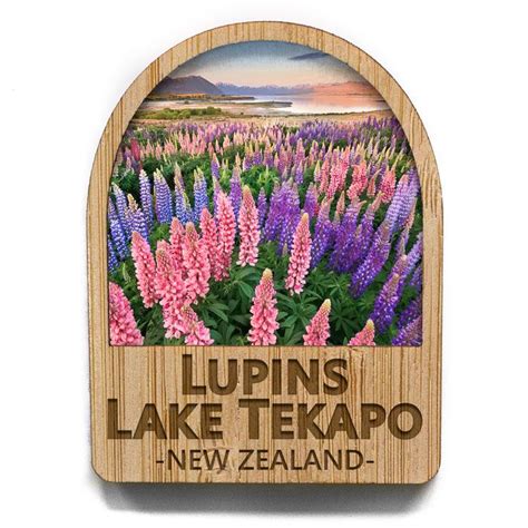 Arch Magnet of Lupins, Lake Tekapo with code HI09