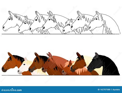 Realistic Horse Head Border Set Stock Vector - Illustration of cover ...