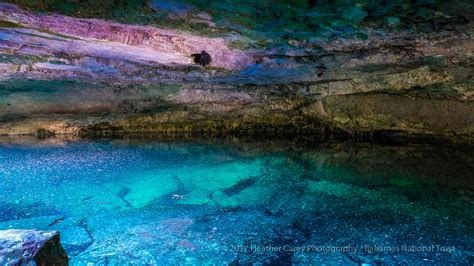 Mangroves, blue holes, fossilized remains: Lucayan National Park