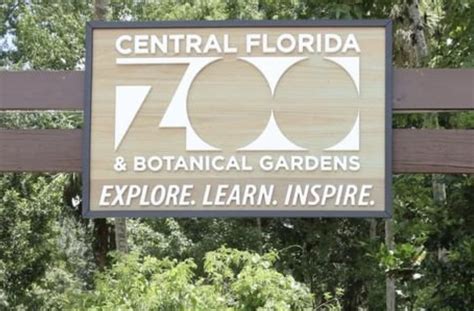 Kids night out at the Zoo - Orlando-News.com