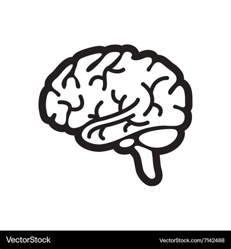 Stylish black and white icon human brain Vector Image