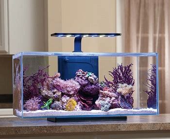 4 Best 10-gallon Rimless Aquarium (Tank) For Fishes Reviews