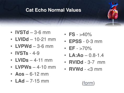 PPT - Basic Echocardiography PowerPoint Presentation, free download ...