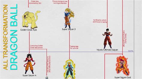 All Saiyan's Transformations in Dragon Ball - DBZ And DB Super - YouTube