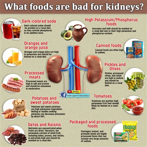 Stage 3 Kidney Disease Sample Diet