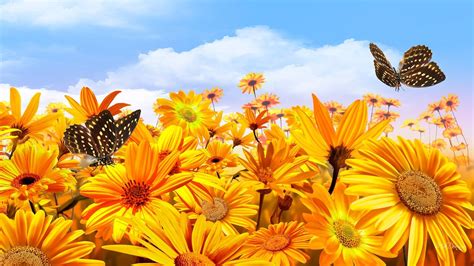 Download Yellow Flower Butterfly Sunflower Artistic Flower HD Wallpaper