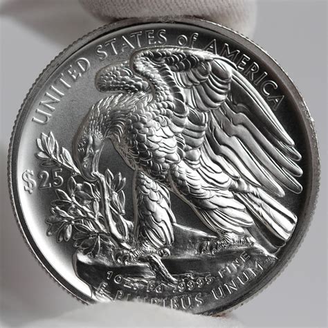 Photos of 2017 American Palladium Eagle Bullion Coins | CoinNews