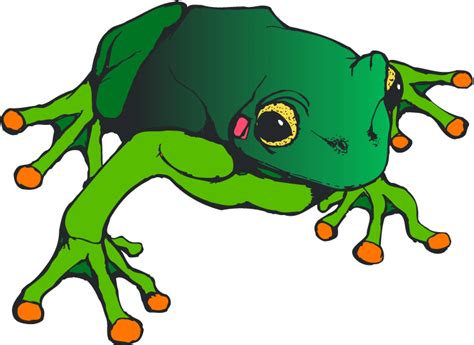 Free frog clipart clip art pictures graphics illustrations - Clipartix