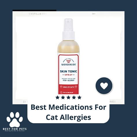 10 Best Medications For Cat Allergies in 2022