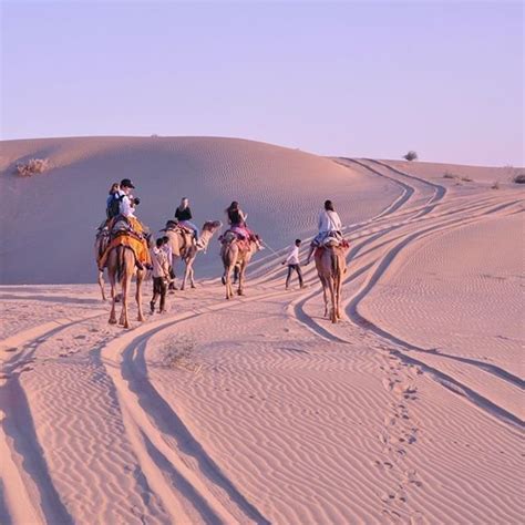 Jaisalmer Desert Safari | Camel Safari – Rajasthan Royals Holidays