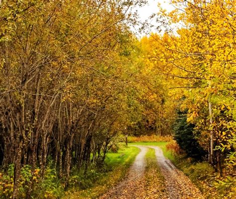 Fall Colors in Aspen, Colorado (OC) : r/MostBeautiful