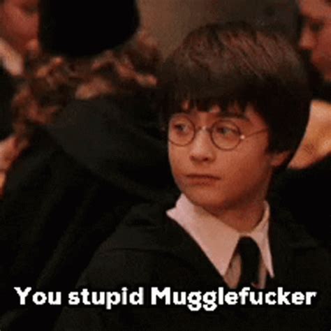 Muggle Harry Potter GIF - Muggle Harry Potter - Discover & Share GIFs