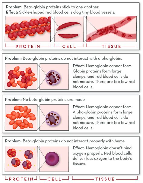 Hemoglobin Disorders