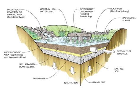 Bioretention Basin Diagram | Stormwater, Rain garden, Wastewater ...