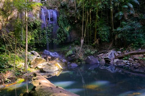 Curtis Falls in Mt Tamborine - a rainforest waterfall | Hiking the World