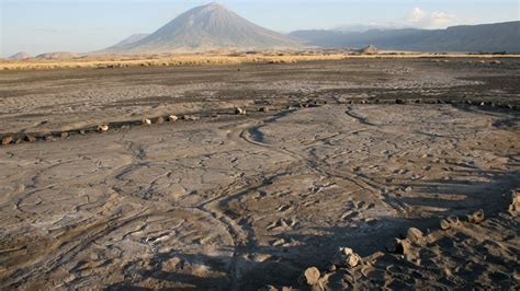 Africa’s biggest collection of ancient human footprints was found ...