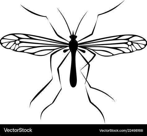 Drawing mosquito Royalty Free Vector Image - VectorStock