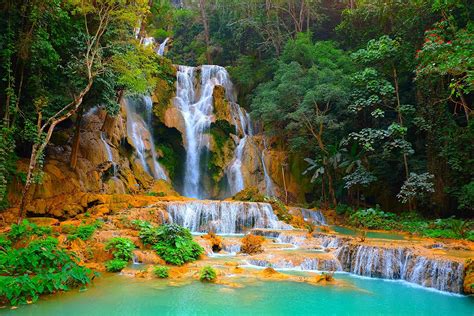 Download Tree Forest Nature Waterfall 4k Ultra HD Wallpaper