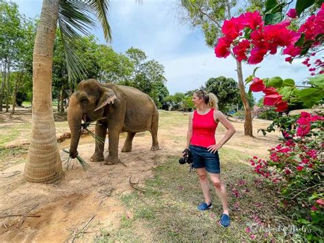 Visiting The Delightful Koh Samui Elephant Sanctuary Thailand