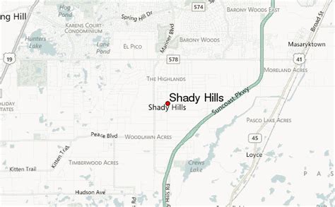 Shady Hills Weather Forecast