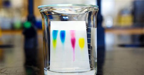 Paper chromatography