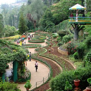 Discover Ooty: Tamil Nadu's Most Beautiful Hill Station