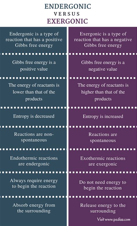 Difference Between Endergonic and Exergonic | Definition, Explanation ...