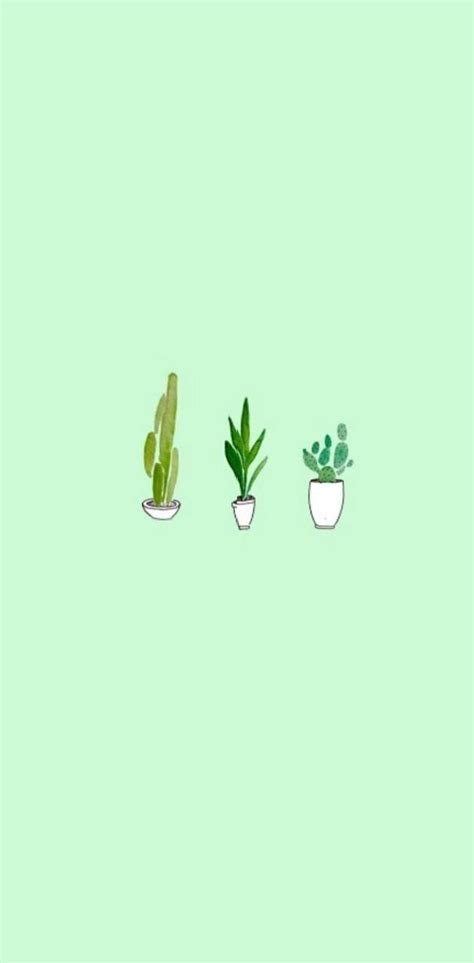 Download Mint Green Aesthetic Plants Wallpaper | Wallpapers.com