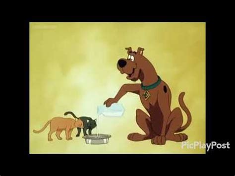 Scooby Doo On Zombie Island End Credits - YouTube